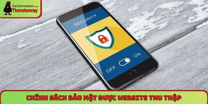 Chính sách bảo mật được website thu thập