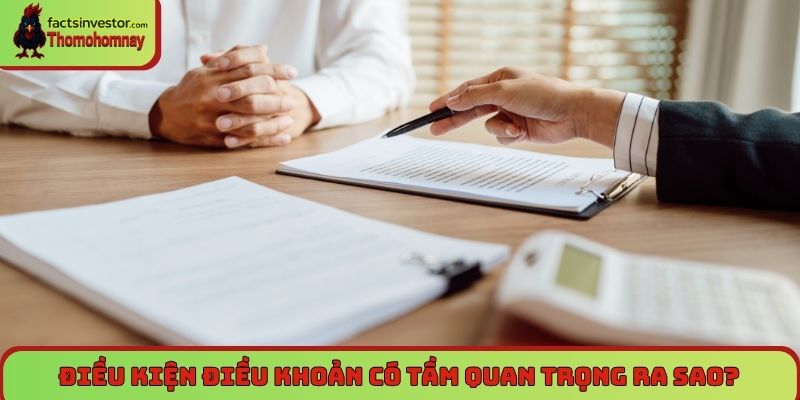 Hiểu điều kiện điều khoản Thomohomnay để tránh rủi ro 4 Điều kiện điều khoản có tầm quan trọng ra sao?