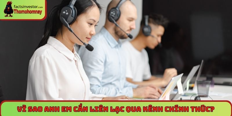 Liên hệ Thomohomnay - Hỗ trợ 24/7, giải đáp mọi thắc mắc 5 Vì sao anh em cần liên lạc qua kênh chính thức?